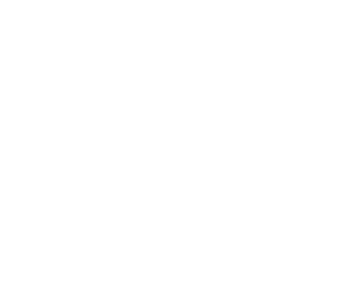 Icon Achsvermessung Icon Achsvermessung