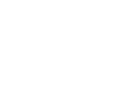 Icon Bremsassistent Icon Bremsassistent