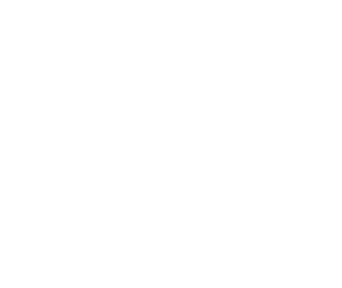 Icon Digitale Schadensdokumentation Icon Digitale Schadensdokumentation