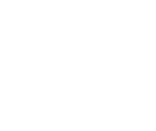 Icon Digitale Schadensfeststellung Icon Digitale Schadensfeststellung